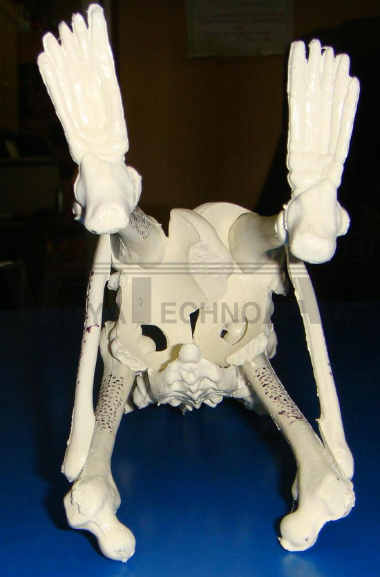 Chair Osteoporesis